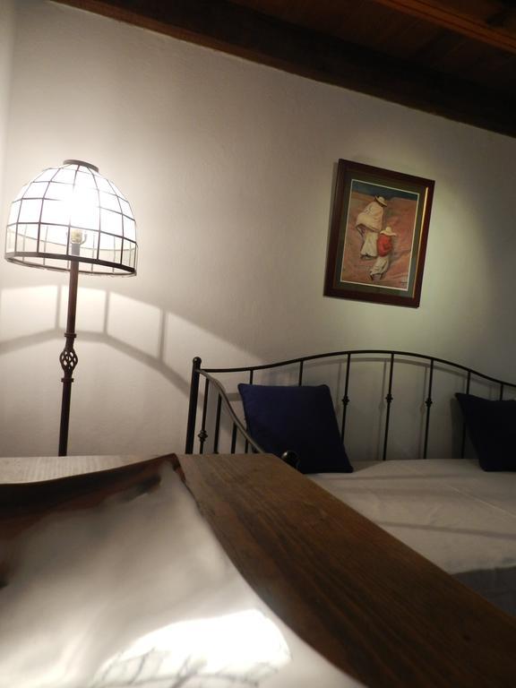Casa Huertas 22 Apartment ซานมิเกล เด อาเญนเด ภายนอก รูปภาพ